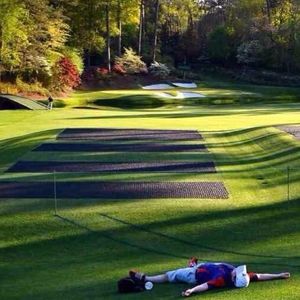 Meet your Posher, Shane